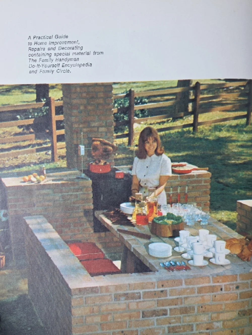 Do-It-Yourself Encyclopedia - Pink Cover